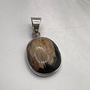 Sterling Silver Pendant with Petrified Wood